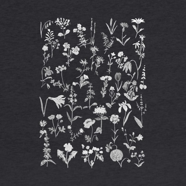 countryside wildflowers black and white by colorandcolor